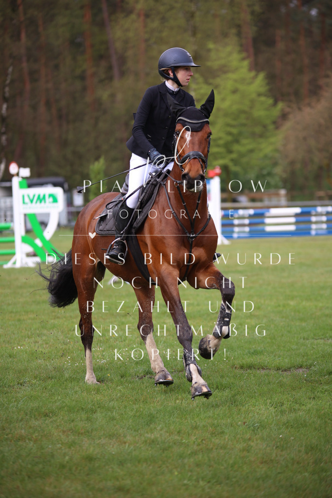 IMGT2374 | pl-fotografie