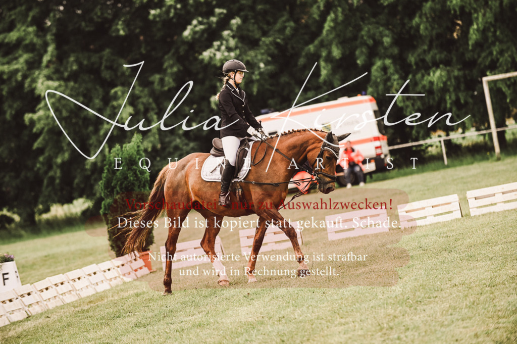 DSC_4806 | Pferde- und Turnierfotografie in Westsachsen. Pferdeportraits, Auftragszeichnungen und intuitive Kunst.
