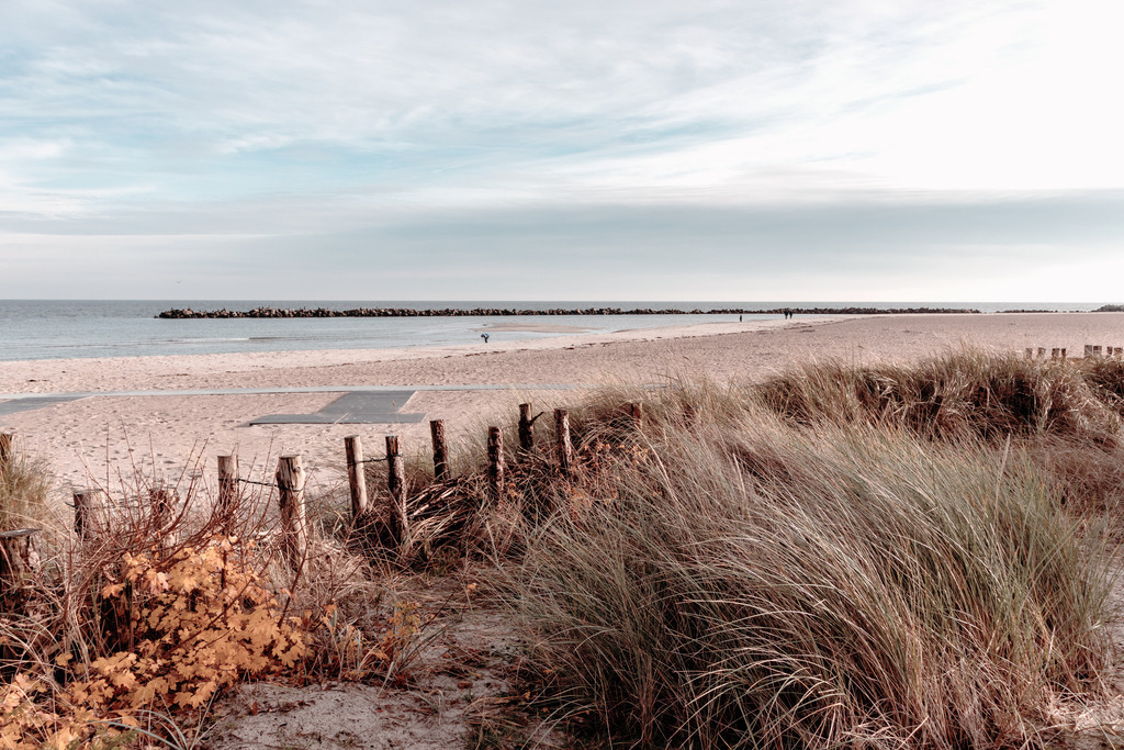 Wandbild: Strandhafer am Meer | Dieses Wandbild im Hochformat zeigt einen Sandfang bewachsen mit Strandhafer und Heckenrosen in dezenten Farben. Der Himmel ist blau mit leichter weißer Bewölkung. Schaffen Sie sich ein maritimes Ambiente in Ihrem Wohnzimmer und kaufen Sie sich dieses stilvolle Wandbild. Es ist auf Leinwand, Aluminium-Platte, Acrylglas oder als Holzdruck erhältlich. Die Wandbilder werden individuell für Sie in vielen Abmessungen produziert. Daher passen die Ostseekult Wandbilder immer perfekt an Ihre Wände. - Realisiert mit Pictrs.com