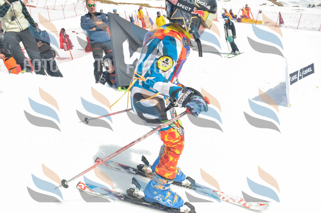 _ELE7494 | holidayphoto