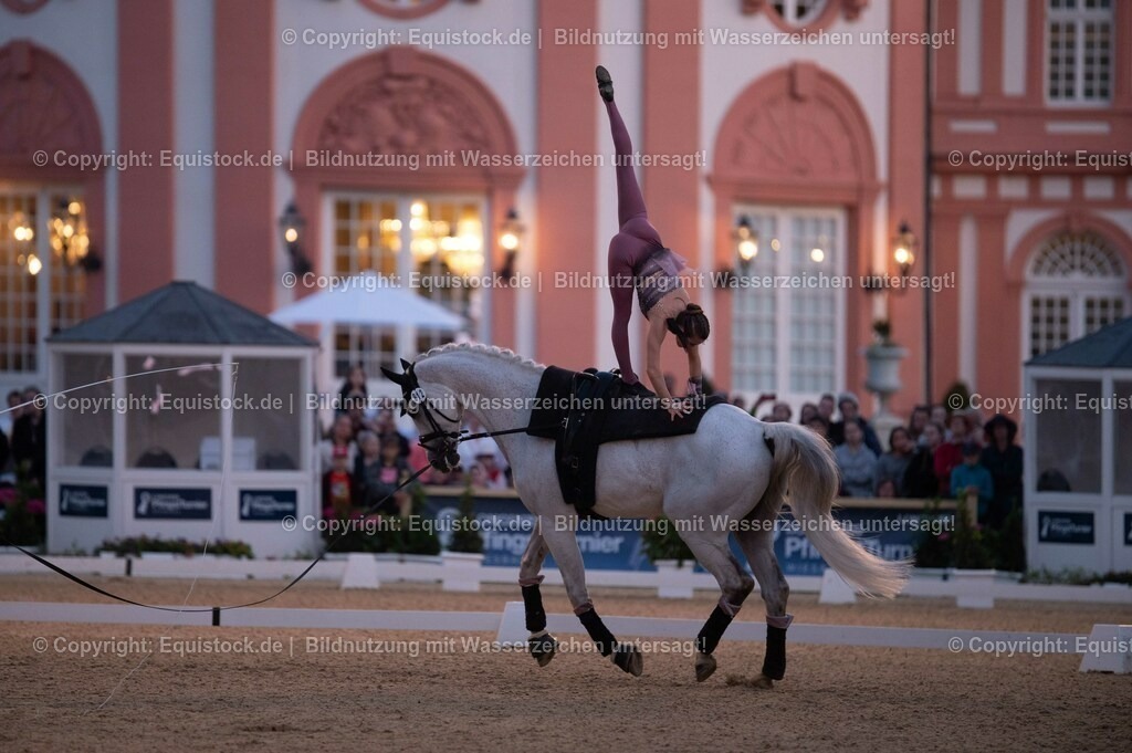20230527_Voltigieren_NASPA_Flutlicht_0355 | equistock