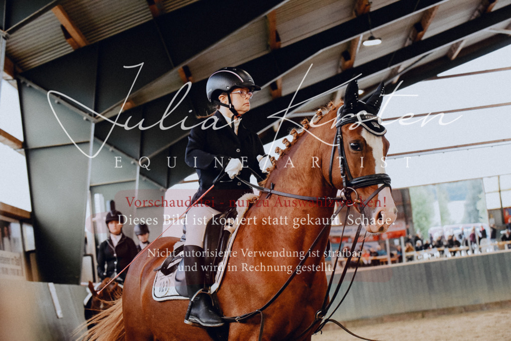 DSC_7312 | Pferde- und Turnierfotografie in Westsachsen. Pferdeportraits, Auftragszeichnungen und intuitive Kunst.