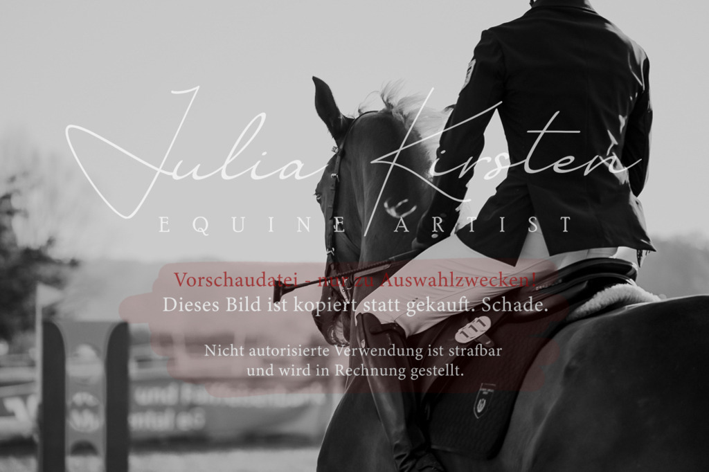 DSC_3744 | Pferde- und Turnierfotografie in Westsachsen. Pferdeportraits, Auftragszeichnungen und intuitive Kunst.