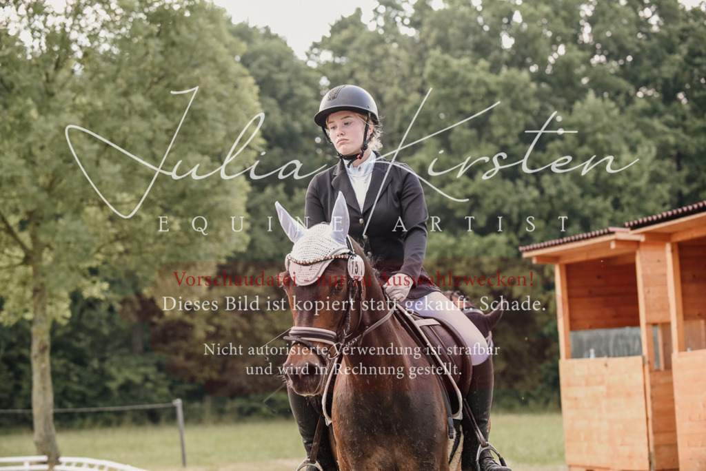 DSC_8222 | Pferde- und Turnierfotografie in Westsachsen. Pferdeportraits, Auftragszeichnungen und intuitive Kunst.