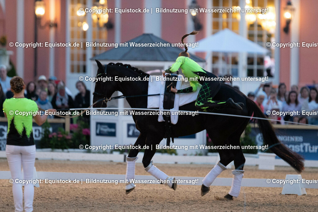 20230527_Voltigieren_NASPA_Flutlicht_0406 | equistock