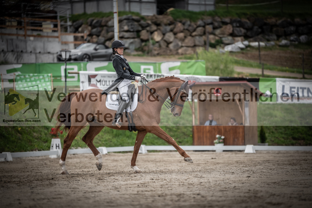 DSC_3030 | equestrian-live-com