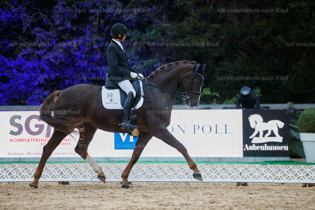 04_2-240-Dressur M__ -StoibPH-3036 | working equitationturnier fotograf videograf stoibphotography marixx film working equitation deutschland reitsport turnierfotografie eventfotografie equestrian events