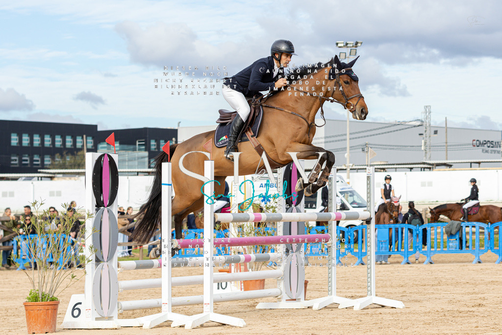 IMG_2537 | s-jay-photography - Realisiert mit Pictrs.com