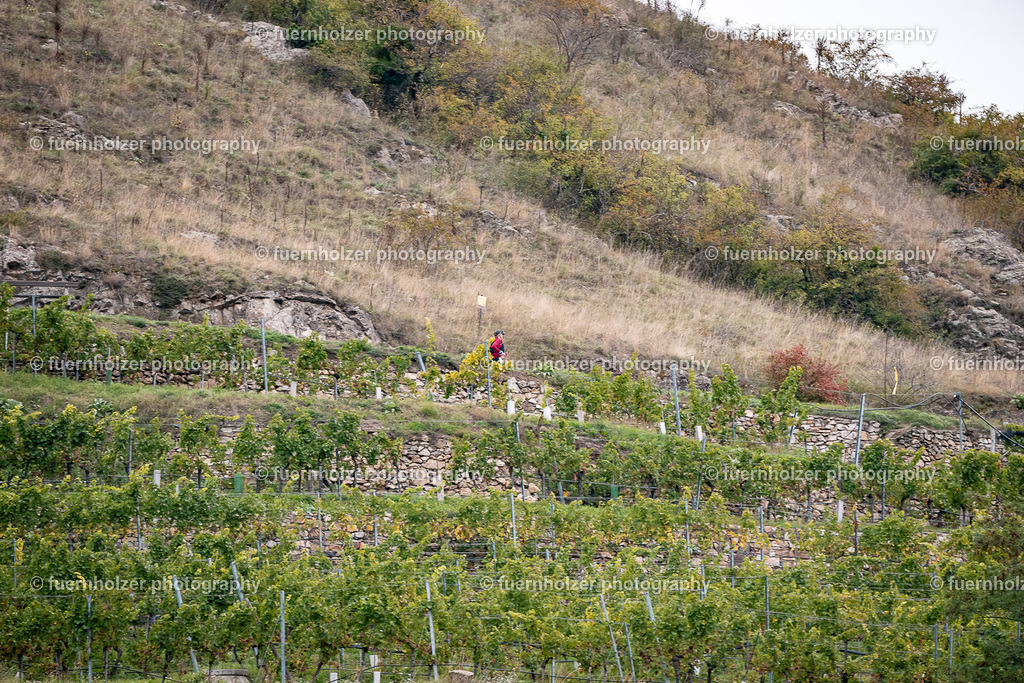 fuernholzer_251004-C2-96 | © Christian Fuernholzer | fuernholzer photography