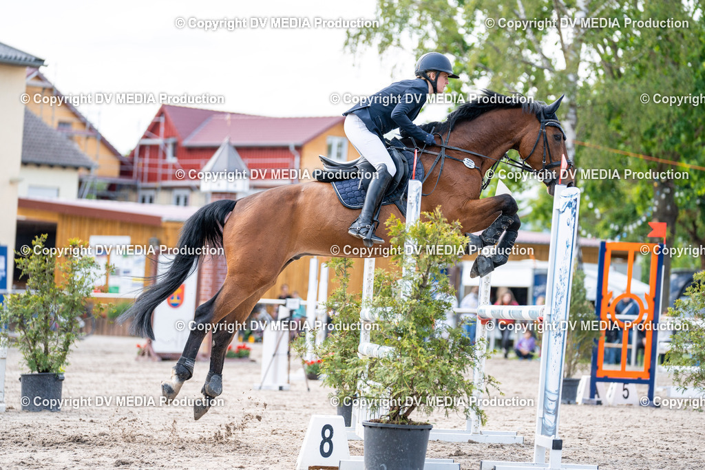 Eppelheim Tag 2-631 | dv-media-shop - Realisiert mit Pictrs.com