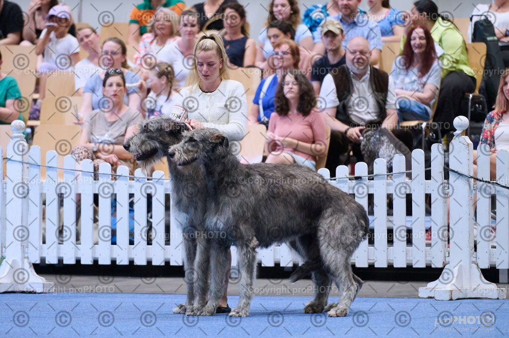 202406_ÖKV-IHA-Tulln24_DSC_3694 | proPHOTO - Realisiert mit Pictrs.com