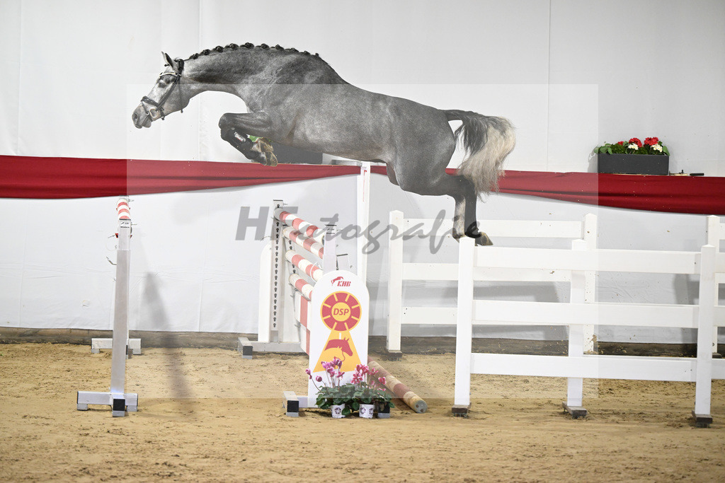 Kat-Nr. 28 v. Cornet de Semilly_ZG Nahm_63220845 | hf-fotografie - Realisiert mit Pictrs.com