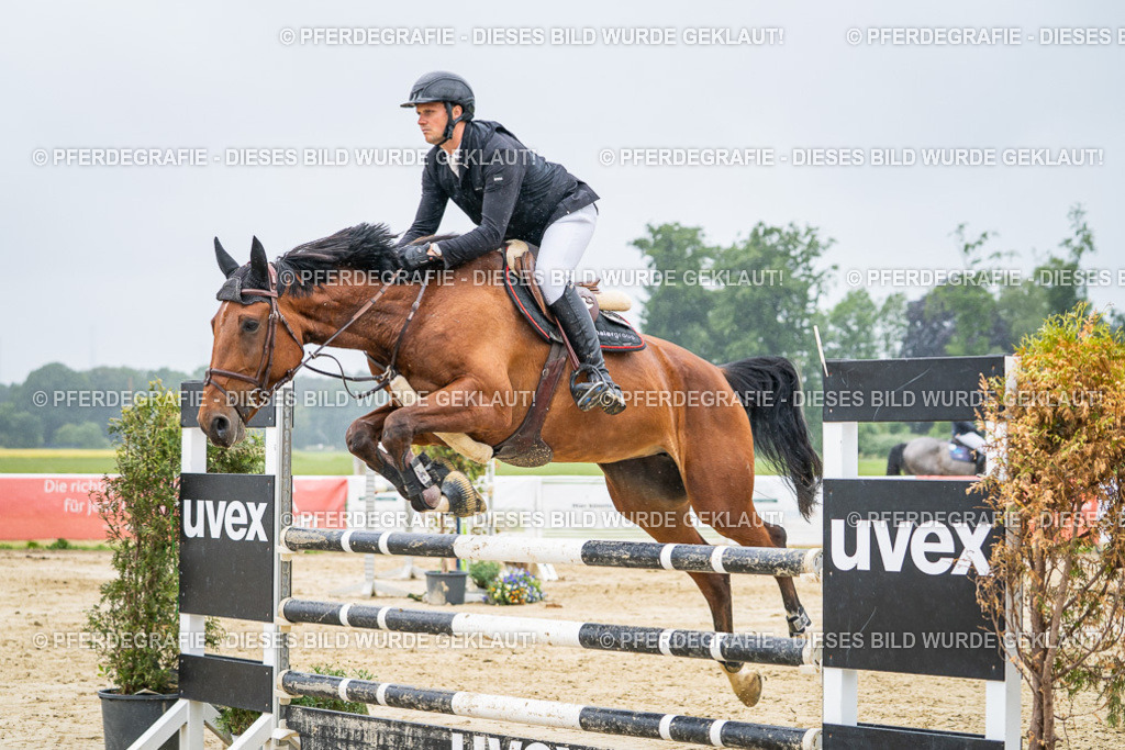 DSC02901 | Pferdegrafie