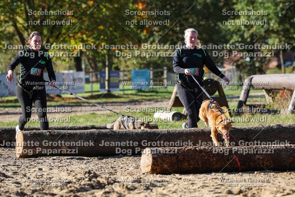 Dog Paparazzi - Strongdog 10-25-2668 | Dog Paparazzi Jeanette Grottendiek Fotografie & Videografie - Realisiert mit Pictrs.com