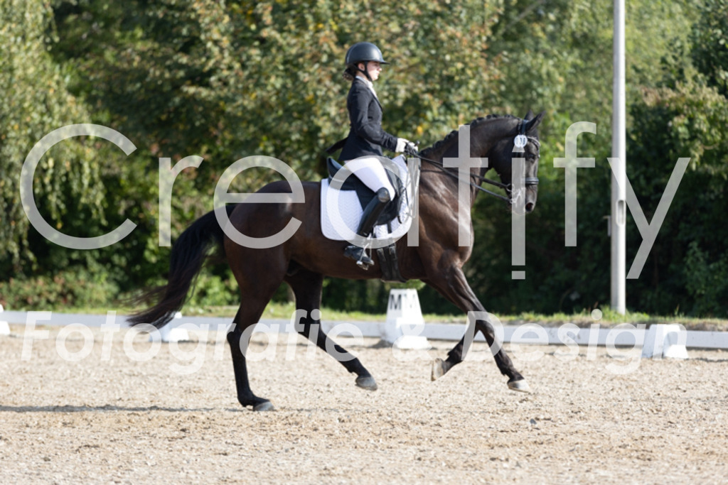 IMG_2326 | Creatify Fotografie