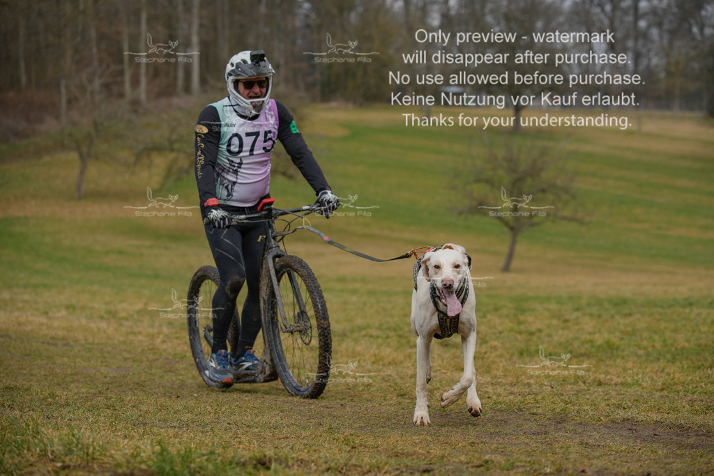 Sa_Scooter1-222 | stephaniefillaphotographie - Realisiert mit Pictrs.com