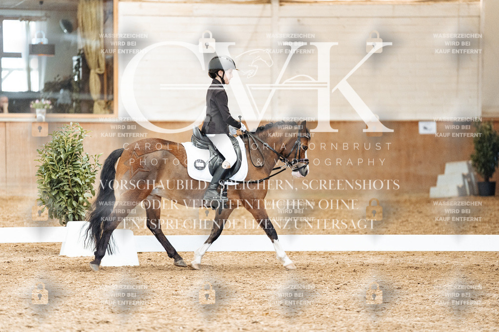 CK900451 | Turnierfotografie Pferdefotografie Trier Rheinland-Pfalz Pferdesport Reitsport Tierfotografie Sportfotografie Pferdevideo Pferdevideografie Equestrianvideography equestrianphotography  - Realisiert mit Pictrs.com