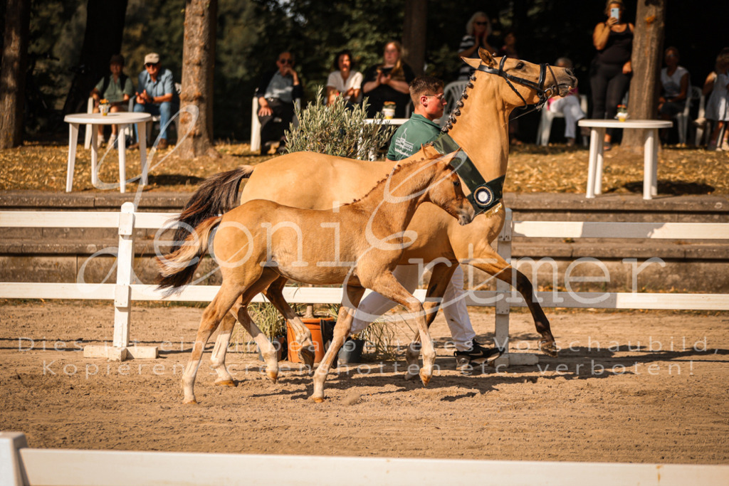 10.DoRP00250 | Leoni Ertmer Photography - Realisiert mit Pictrs.com