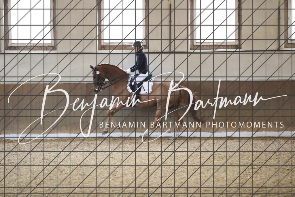 AZ2A1483 | Benjamin Bartmann Photomoments