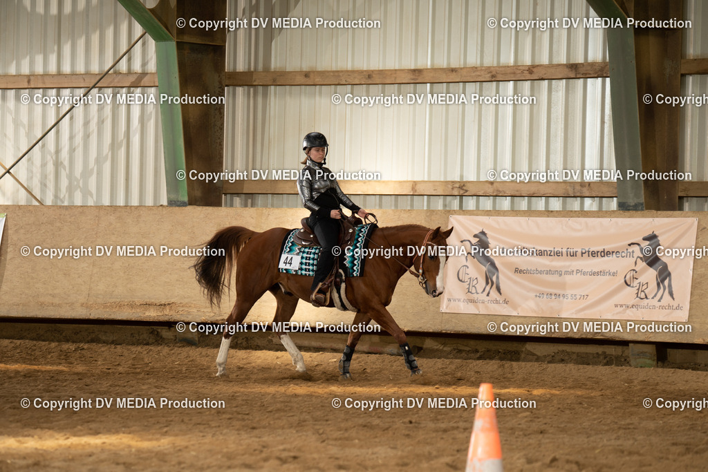 BAL02050 | dv-media-shop - Realisiert mit Pictrs.com