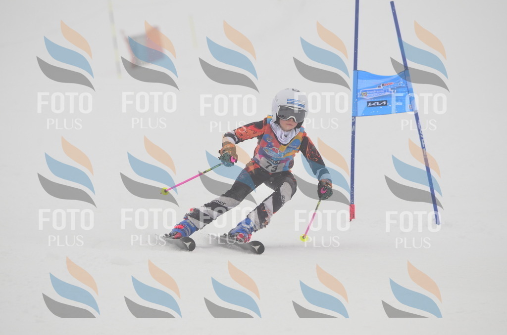 C1183 | holidayphoto