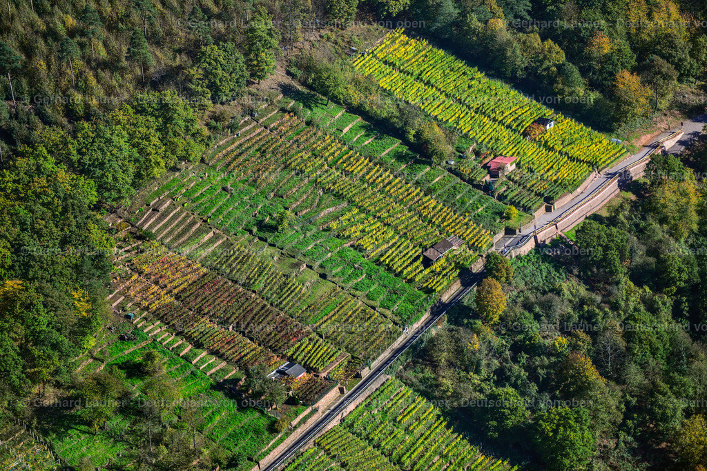 3491159 | Weinberge bei Klingenberg