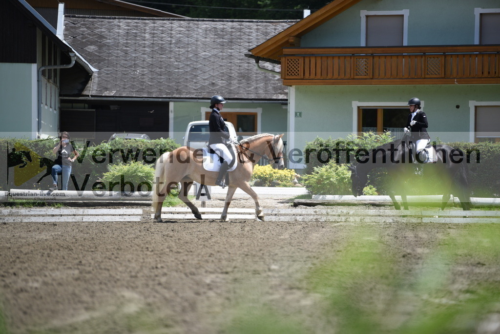 DSC_1247 | equestrian-live-com