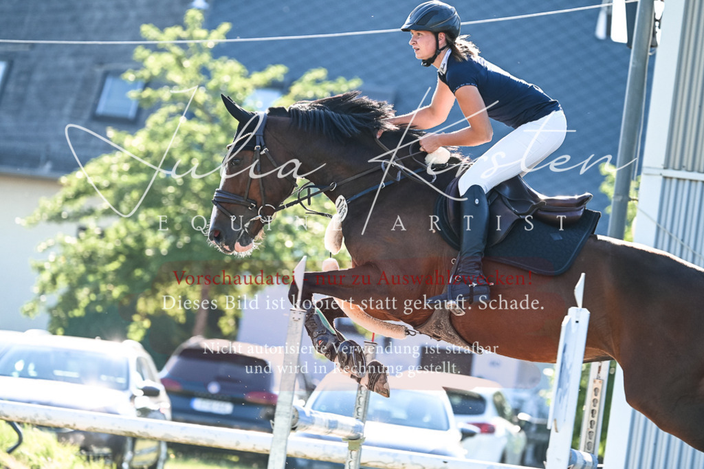 DSC_2894 | Pferde- und Turnierfotografie in Westsachsen. Pferdeportraits, Auftragszeichnungen und intuitive Kunst.