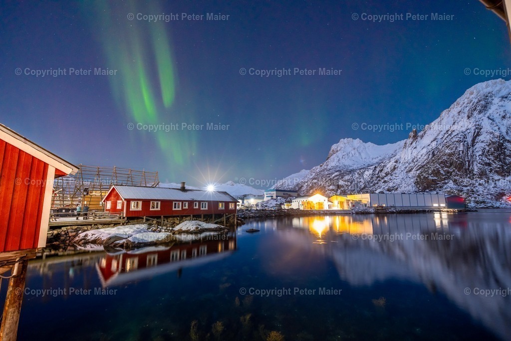 Lofoten_Nov_2023_Peter_Maier-4079 | piet_flosse