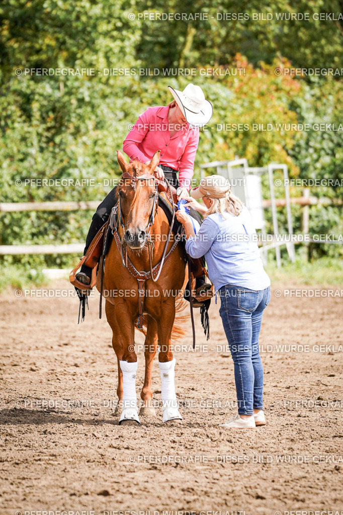 DSC08434 | Pferdegrafie