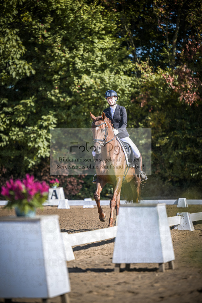 DOS_2220 | Entdecke hochwertige Reitturnierfotos von Foto Oger. Professionell, emotional und authentisch – jetzt Lieblingsmomente im Shop bestellen.Deutschlandweite Turnierfotografie. - Realisiert mit Pictrs.com