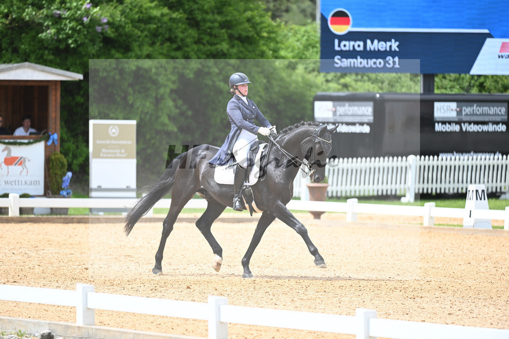 Merk_Sambuco_11233584 | hf-fotografie - Realisiert mit Pictrs.com