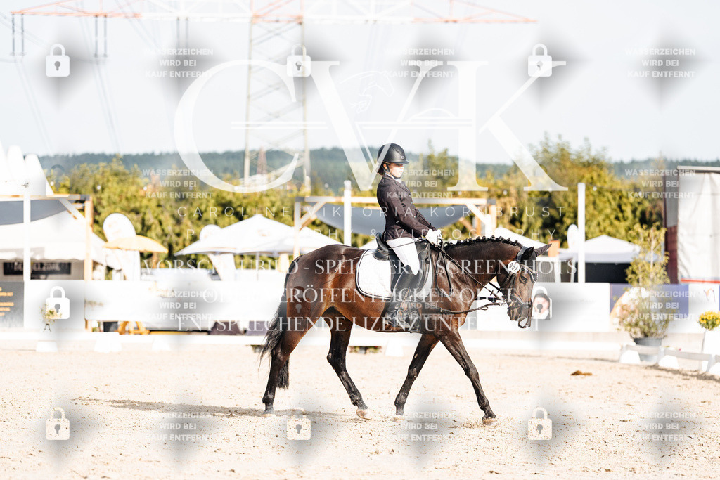CK904527 | Turnierfotografie Pferdefotografie Trier Rheinland-Pfalz Pferdesport Reitsport Tierfotografie Sportfotografie Pferdevideo Pferdevideografie Equestrianvideography equestrianphotography  - Realisiert mit Pictrs.com