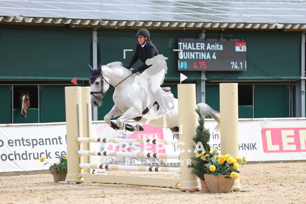 0P6A3242 | Willkommen bei Brunnmayr - Design & Fotografie – Ihrem Spezialisten für Reitturniere und Pferdeveranstaltungen in Oberösterreich, Salzburg und Bayern! Seit über 17 Jahren sind wir leidenschaftlich dabei.