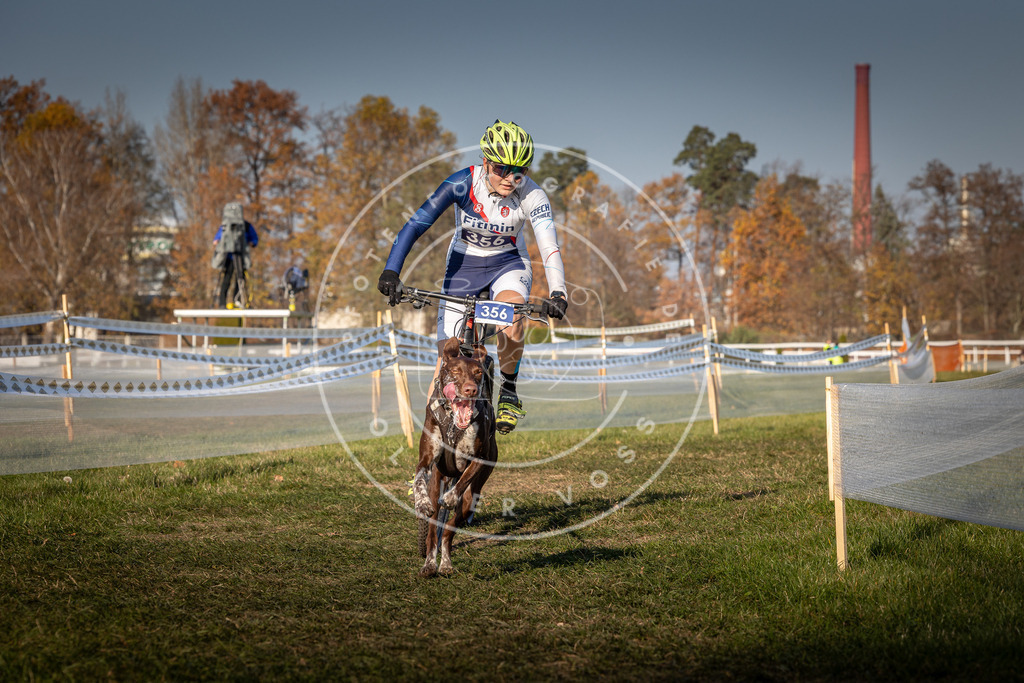 CaniXpix_0L8A6731 | Hundefotografie, Tierfotograf, Pfotenfotografie, Fotoshooting Hund, Hunde Portrait, Hundesport, Hundeportraits, Heideshooting, Hunde, Sportfotograf, Hundefotograf, Turnierhundsport, THS,  - Realisiert mit Pictrs.com