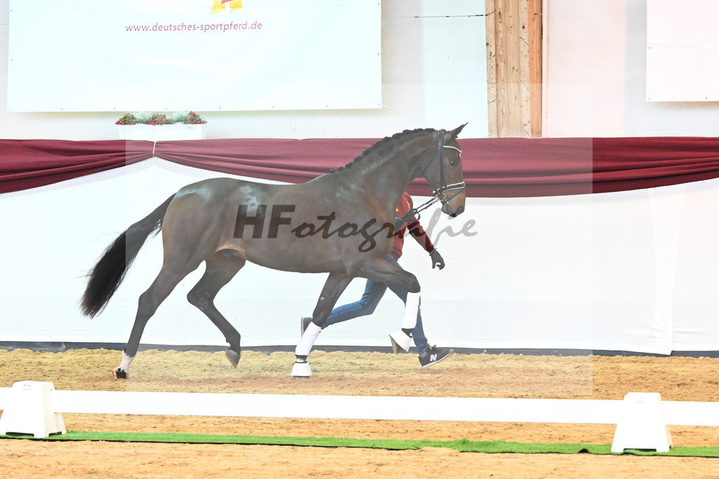 Kat-Nr. 16 v. De Beau_Schult_66220213 | hf-fotografie - Realisiert mit Pictrs.com