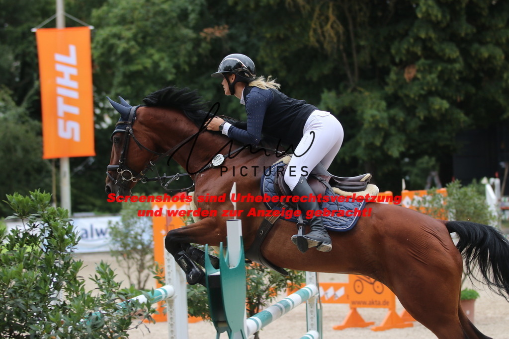 IMG_8003 | lmwpictures - Realisiert mit Pictrs.com