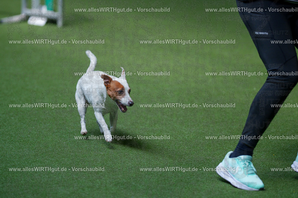 @allesWIRTHgut_Tierfotografie - www.allesWIRTHgut.de - 2604261329-7R501962 | Professionelle Tierfotografie in Mönchengladbach von Daniel Wirth (allesWIRTHgut). Liebevolle & natürliche Bilder von Hunden & Katzen für unvergessliche Erinnerungen.