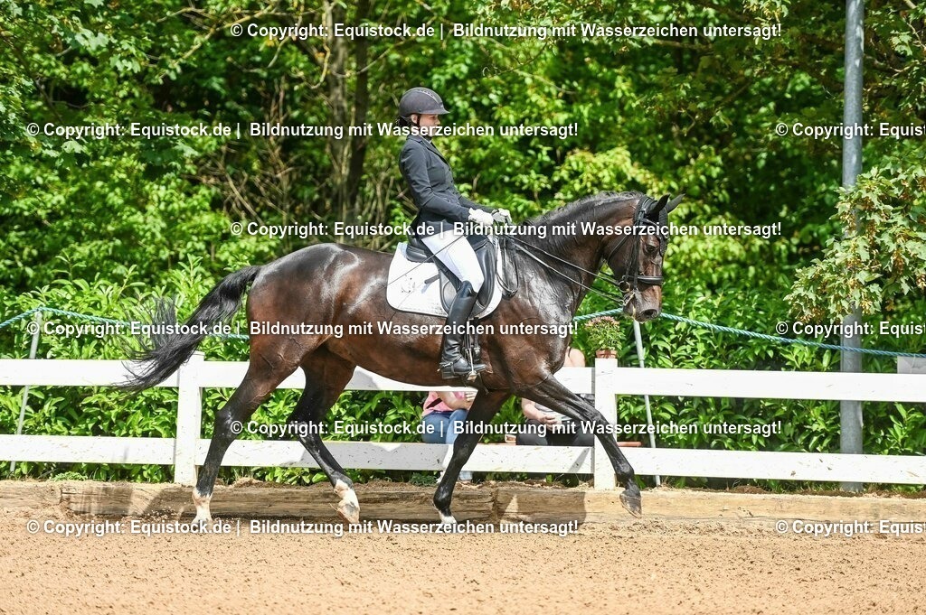20230716_01_Dressurprüfung Kl.M_0050 | equistock
