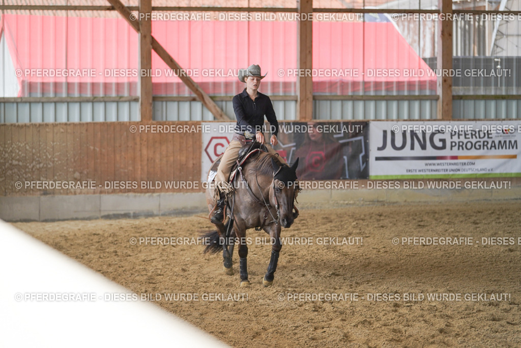 DSC00450 | Pferdegrafie