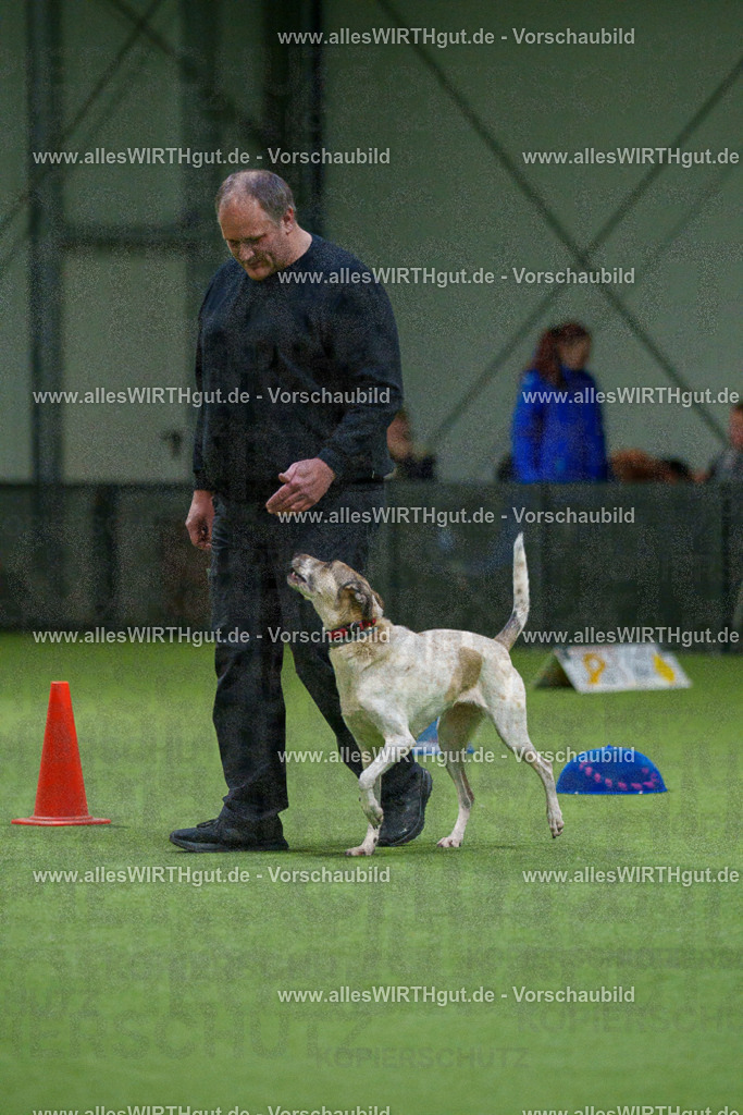 7R505327 | Professionelle Tierfotografie in Mönchengladbach von Daniel Wirth (allesWIRTHgut). Liebevolle & natürliche Bilder von Hunden & Katzen für unvergessliche Erinnerungen.