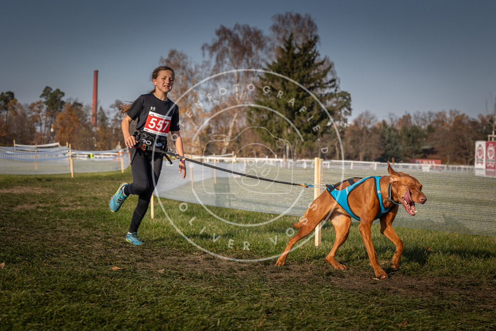 CaniXpix_0L8A9314 | Hundefotografie, Tierfotograf, Pfotenfotografie, Fotoshooting Hund, Hunde Portrait, Hundesport, Hundeportraits, Heideshooting, Hunde, Sportfotograf, Hundefotograf, Turnierhundsport, THS,  - Realisiert mit Pictrs.com