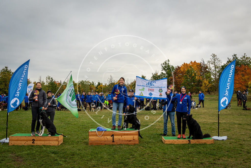 Pfotenfotografie_0L8A0378 | Hundefotografie, Tierfotograf, Pfotenfotografie, Fotoshooting Hund, Hunde Portrait, Hundesport, Hundeportraits, Heideshooting, Hunde, Sportfotograf, Hundefotograf, Turnierhundsport, THS,  - Realisiert mit Pictrs.com