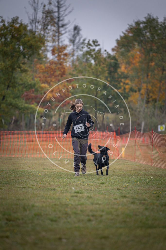 Pfotenfotografie_DV3A8699 | Hundefotografie, Tierfotograf, Pfotenfotografie, Fotoshooting Hund, Hunde Portrait, Hundesport, Hundeportraits, Heideshooting, Hunde, Sportfotograf, Hundefotograf, Turnierhundsport, THS,  - Realisiert mit Pictrs.com