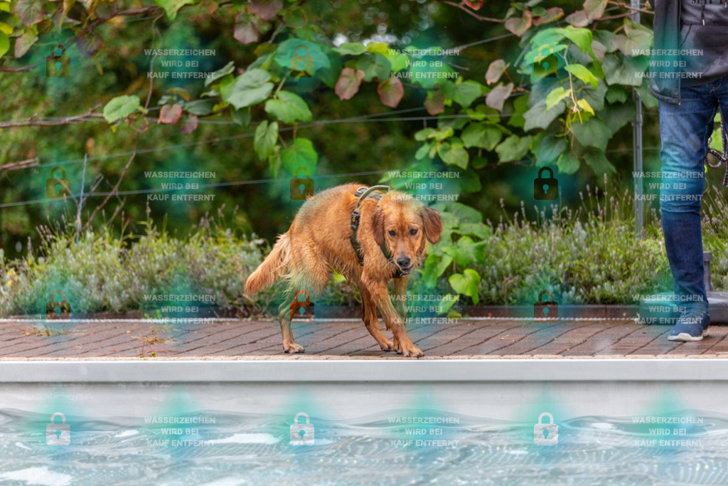 _HP_6209_1000o | HetPix, HetPix Fotodesign, Fotografie, Fotodesign, Webshop, Sportfotografie, Portraitfotografie, Onlineshop, Sportfotografie, Polch, Motorsportfotografie, Eventfotografie