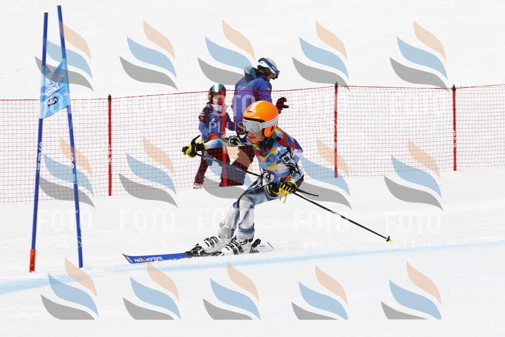 _U3G6878 | holidayphoto