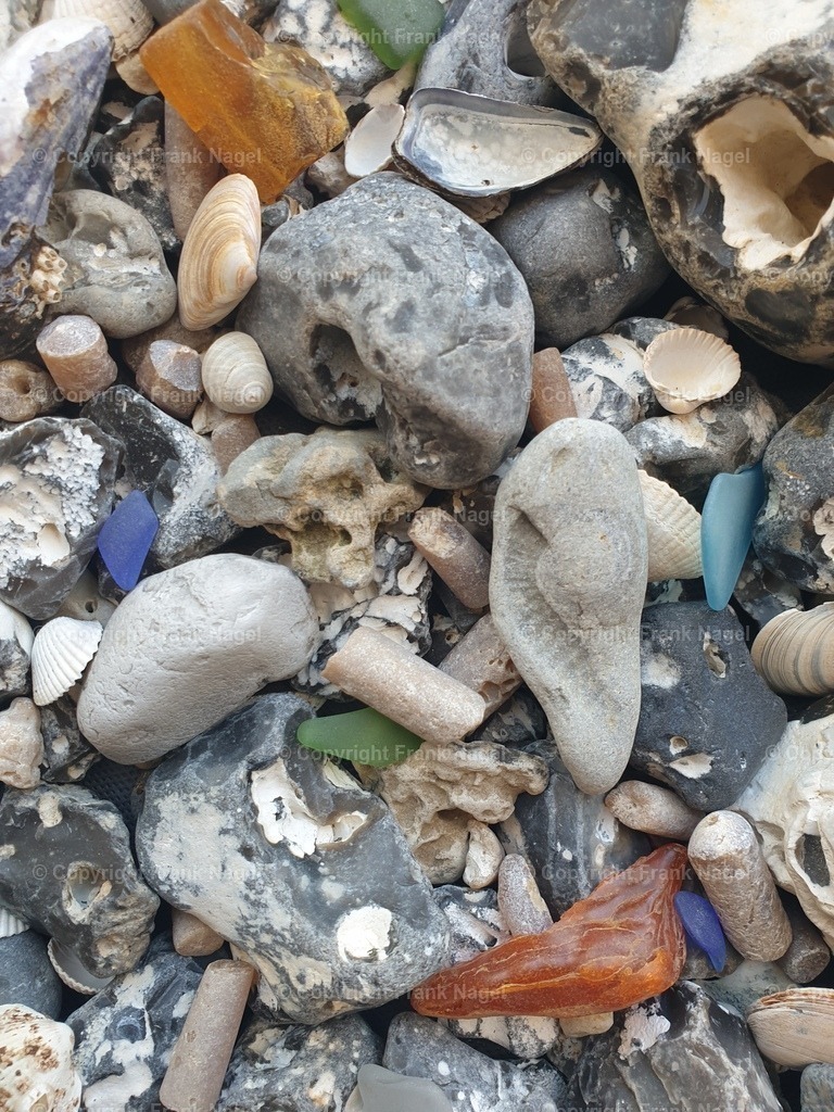 Strandgut3 | dataxp - Realisiert mit Pictrs.com