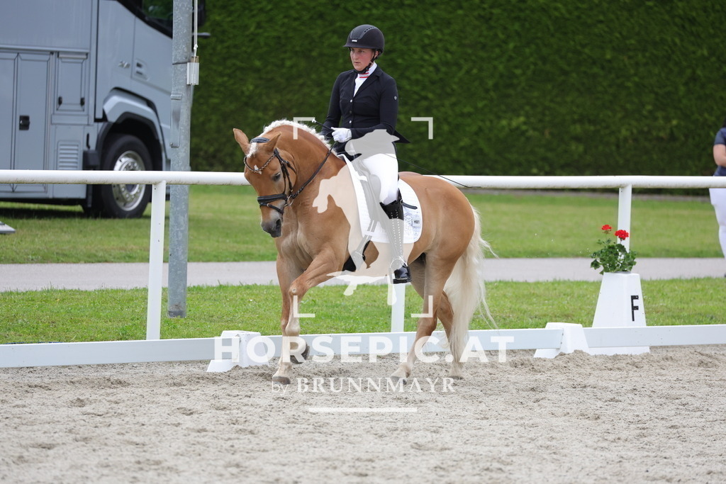 0P6A6875 | Willkommen bei Brunnmayr - Design & Fotografie – Ihrem Spezialisten für Reitturniere und Pferdeveranstaltungen in Oberösterreich, Salzburg und Bayern! Seit über 17 Jahren sind wir leidenschaftlich dabei.