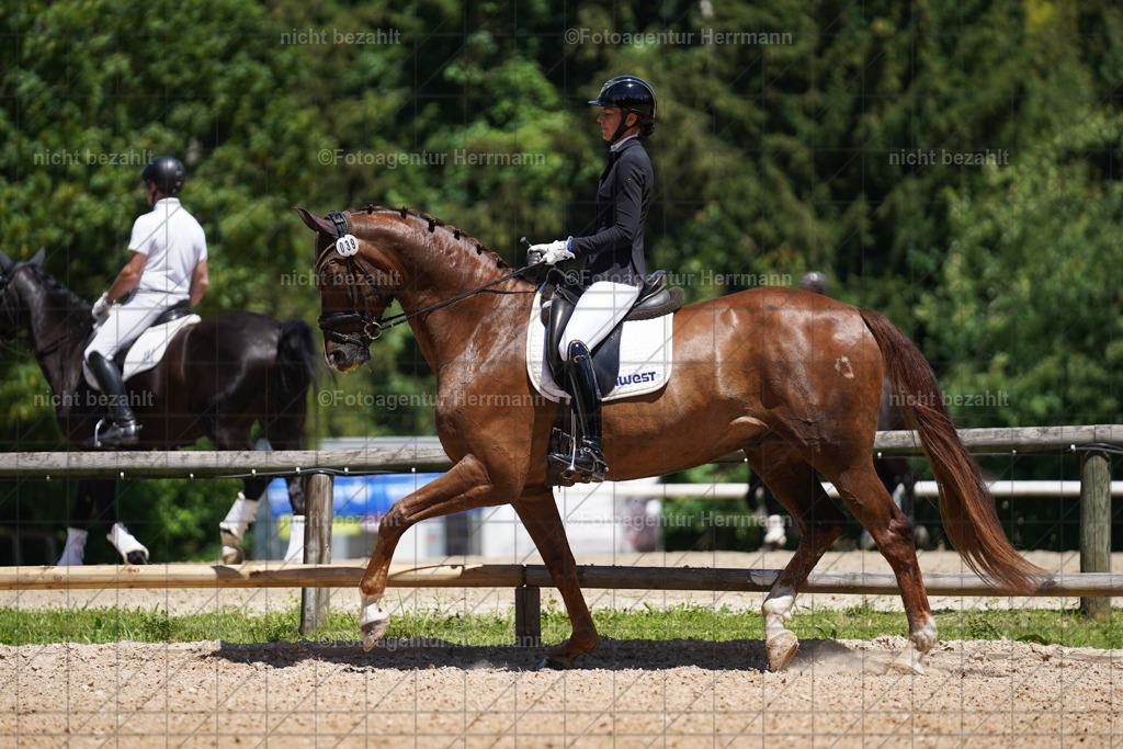 20240705-FAH03522 | Turnierbilder von Grafing, Reitsportbilder, Turnierfotos, Turnierfotografen Bayern, Pferdefotograf, Fotoagentur Herrmann