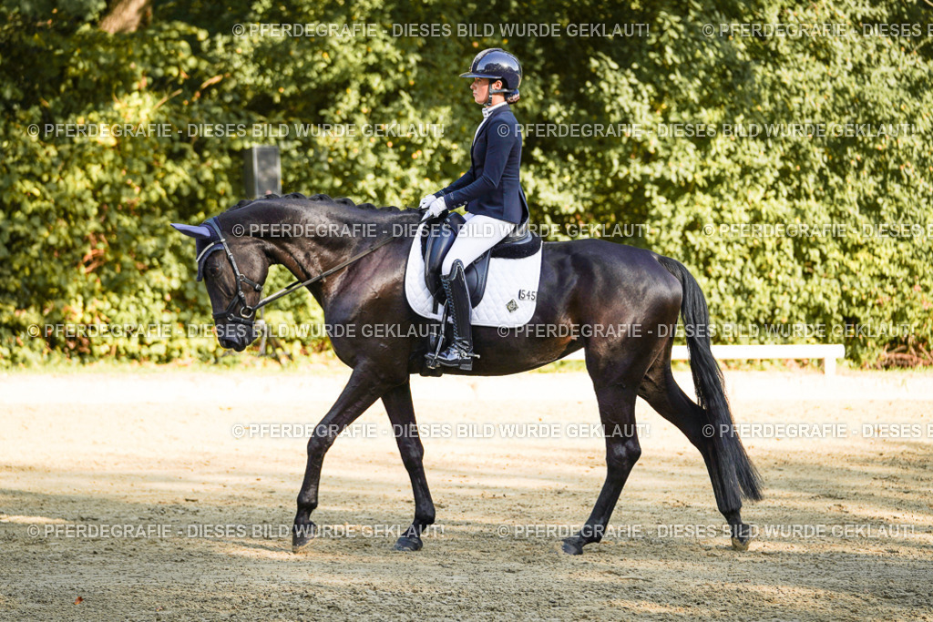 DSC06383 | Pferdegrafie